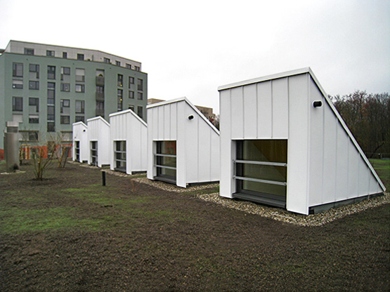 Neubau Sporthalle der Grundschule Rebstock: Fertigstellung des Gründaches